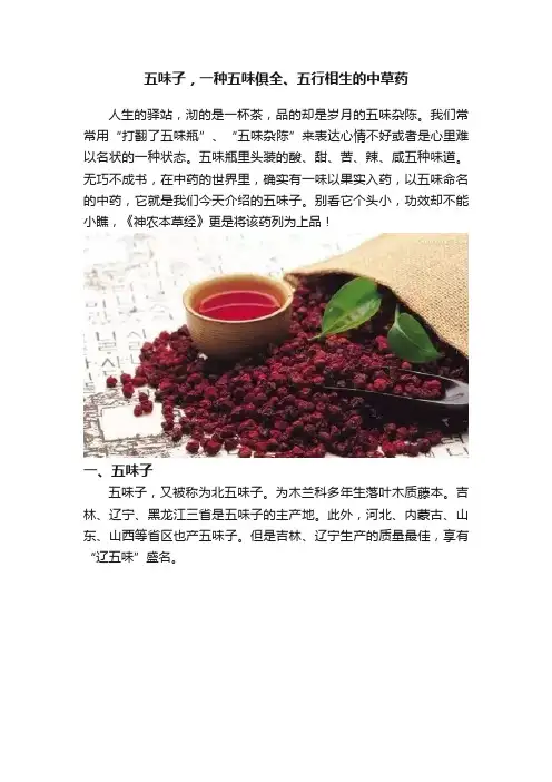 五味子，一种五味俱全、五行相生的中草药