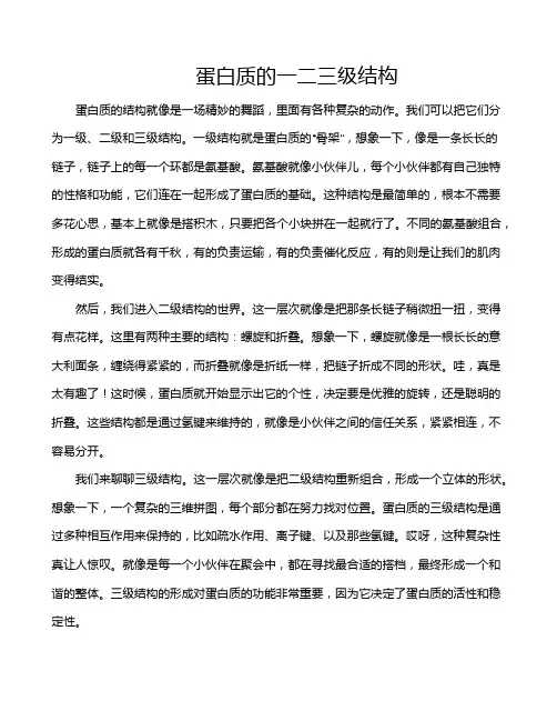 蛋白质的一二三级结构