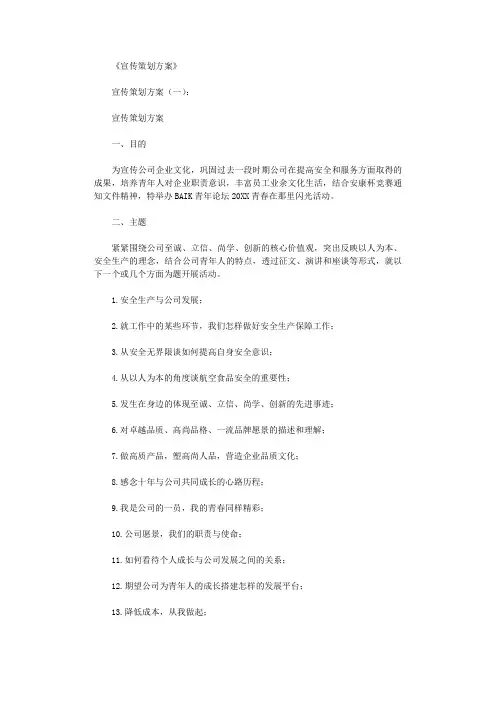 宣传策划方案12篇完美版