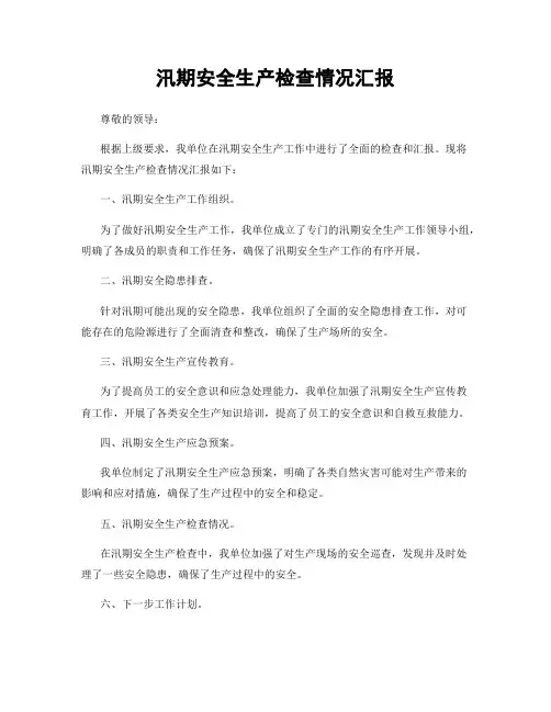 汛期安全生产检查情况汇报