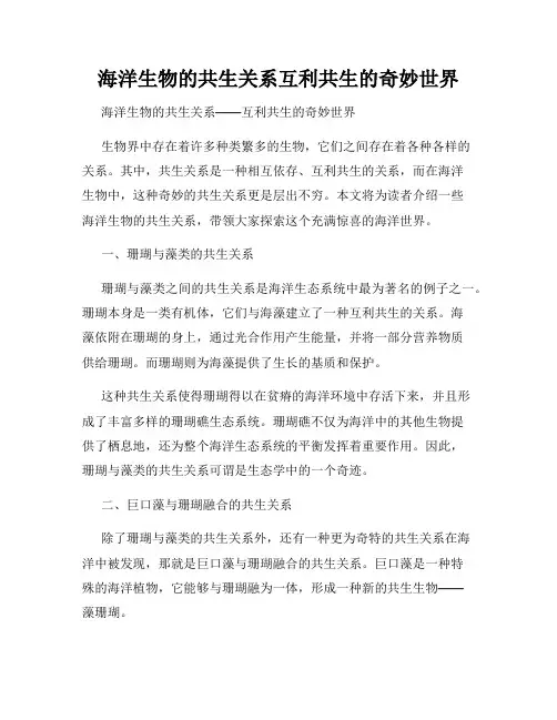 海洋生物的共生关系互利共生的奇妙世界