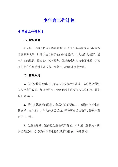少年宫工作计划(word版)