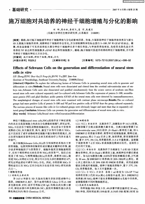 施万细胞对共培养的神经干细胞增殖与分化的影响