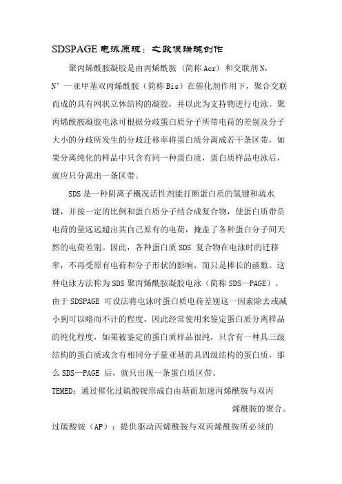 SDS-PAGE分离胶配方表-及其原理