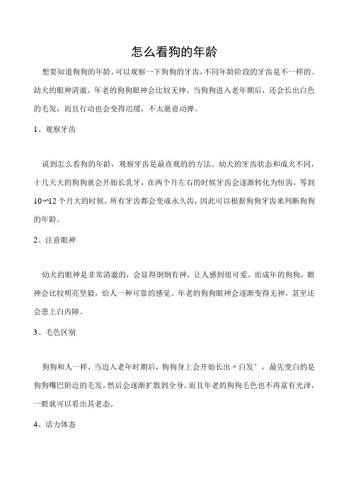 怎么看狗的年龄