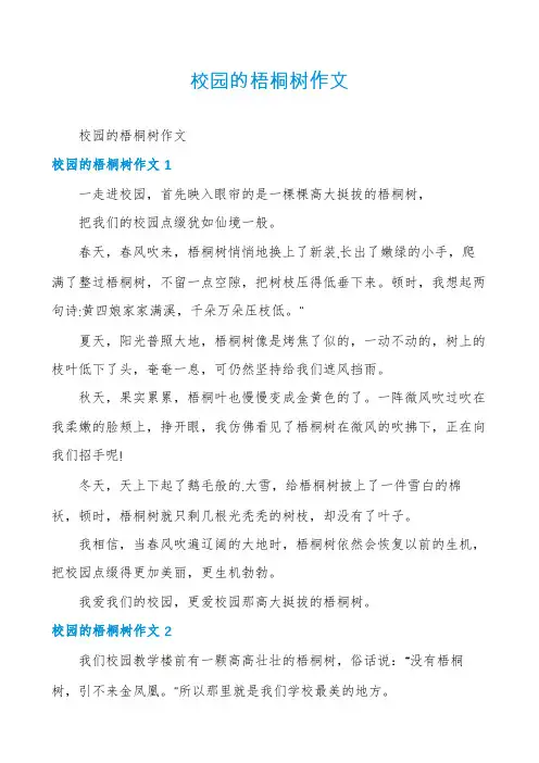 校园的梧桐树作文