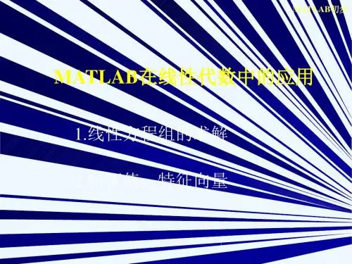 #实验1 MATLAB续：MATLAB在线性代数中的应用