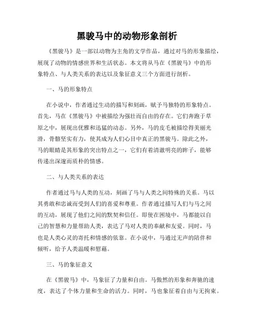 黑骏马中的动物形象剖析