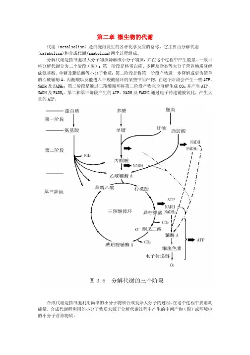 微生物的代谢