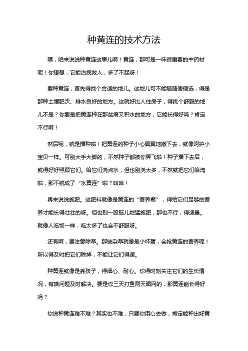 种黄连的技术方法