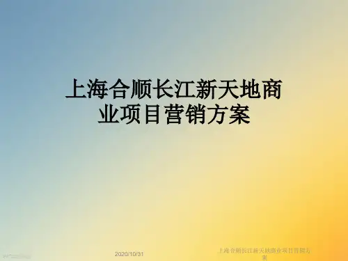 上海合顺长江新天地商业项目营销方案