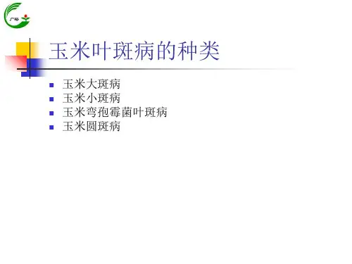 玉米叶斑病的发生及防治