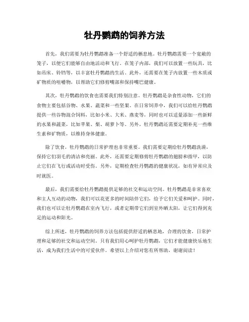 牡丹鹦鹉的饲养方法