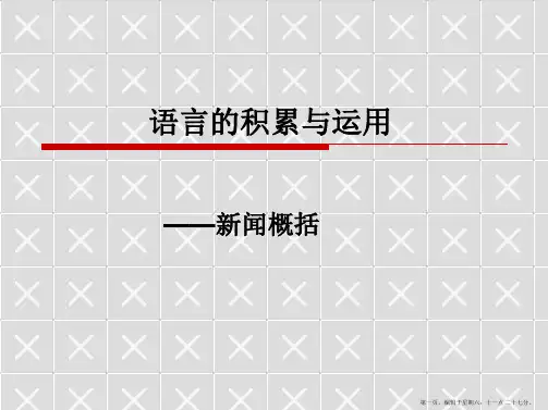 中考复习专题八：新闻概括