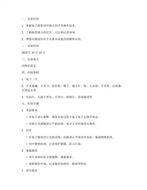 兔子肠管缝合实验报告