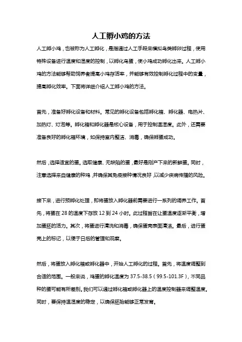 人工孵小鸡的方法