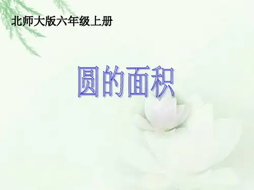 圆的面积-PPT课件精品文档
