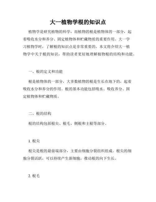 大一植物学根的知识点