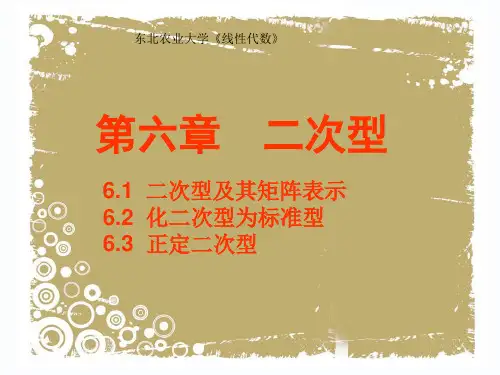东北农业大学《线性代数》课件-第6章二次型