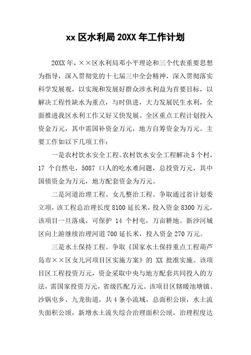 xx区水利局20XX年工作计划