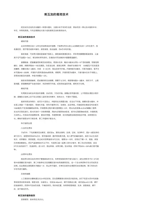 刺五加的栽培技术
