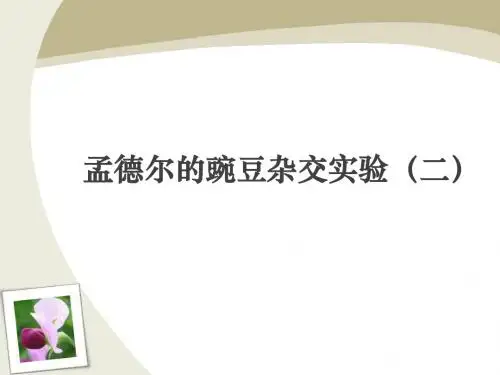 孟德尔德豌豆杂交实验(二)