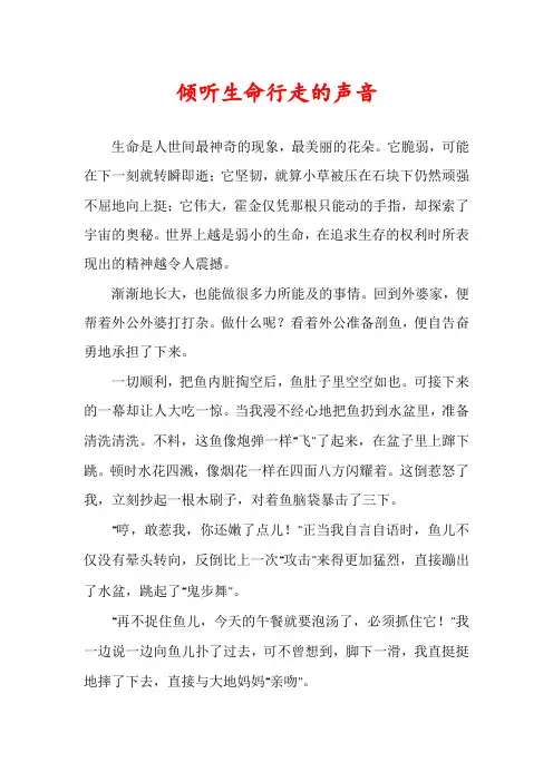 倾听生命行走的声音