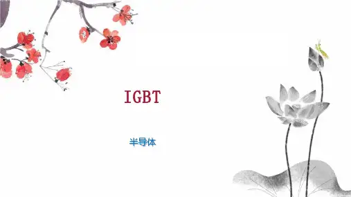IGBT    