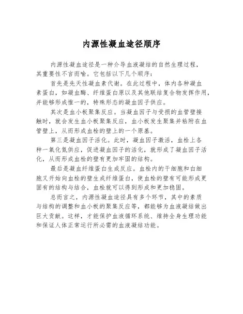 内源性凝血途径顺序