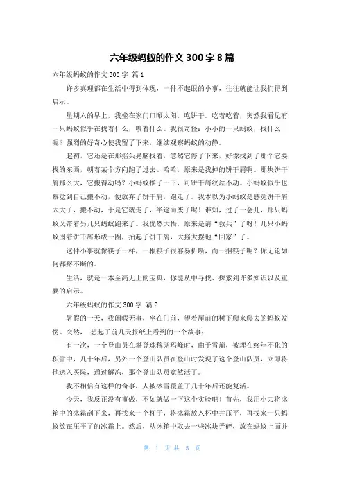 六年级蚂蚁的作文300字8篇