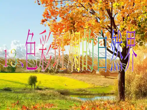 色彩斑斓的自然界