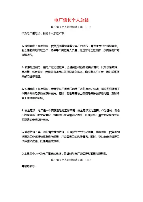 电厂值长个人总结3篇