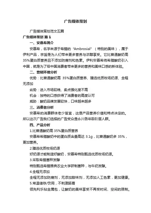 广告媒体策划