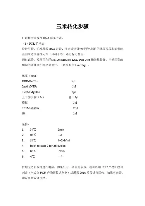 玉米转化步骤