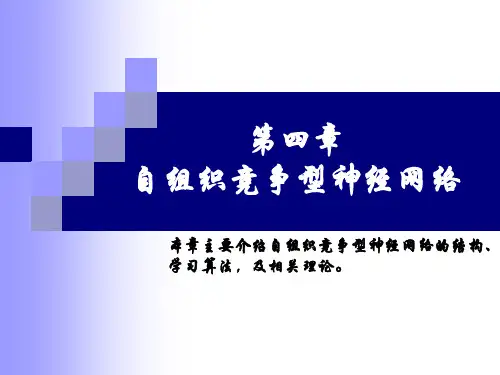 自组织竞争神经网络SOM65页PPT