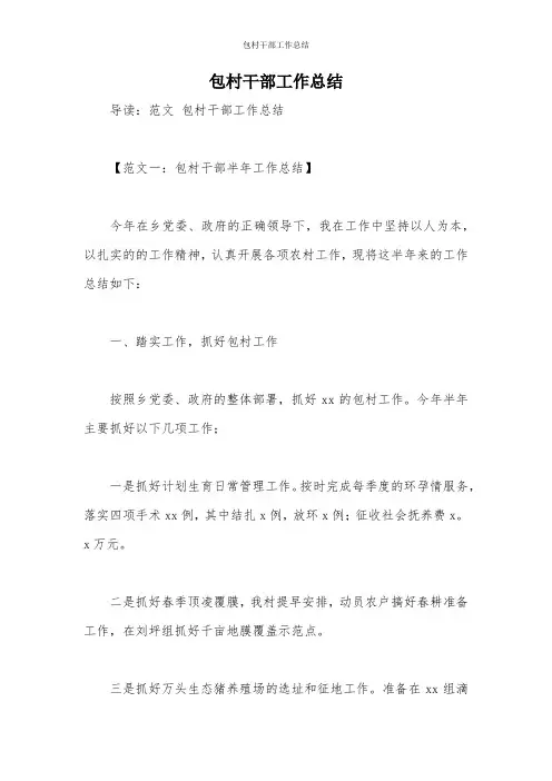包村干部工作总结