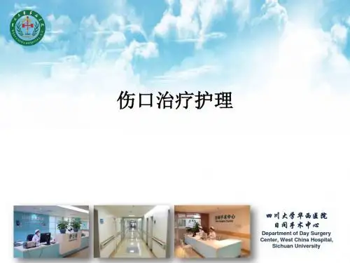 伤口治疗护理PPT课件