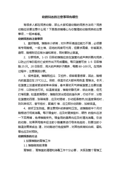 幼鹅饲养的注意事项有哪些