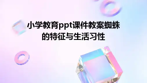 小学教育ppt课件教案蜘蛛的特征与生活习性