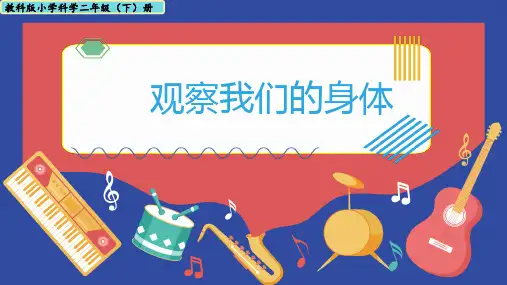 科学二年级下册教科版1.观察我们的身体(课件)(共15张PPT+视频)