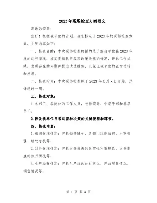 2023年现场检查方案范文