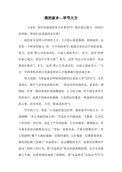 我的家乡—毕节大方.doc