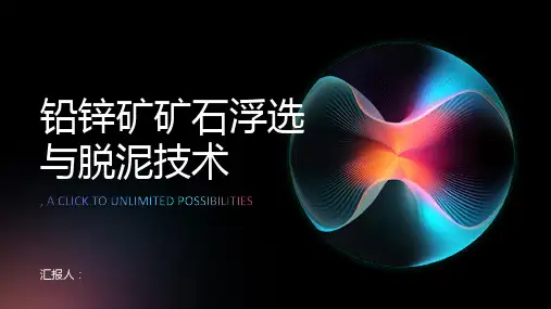 铅锌矿矿石浮选与脱泥技术