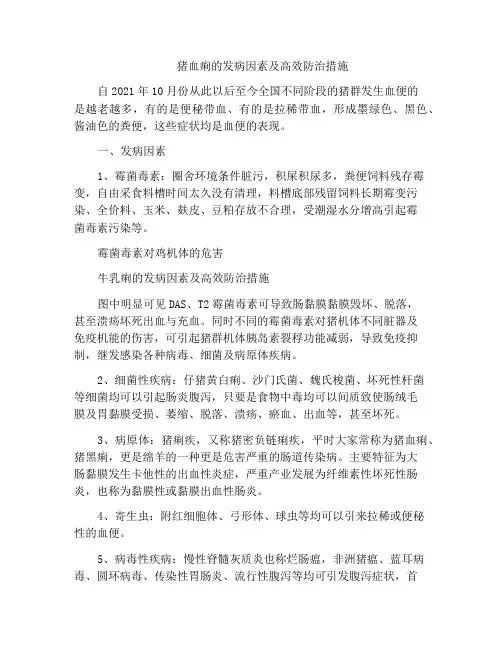 猪血痢的发病因素及高效防治措施