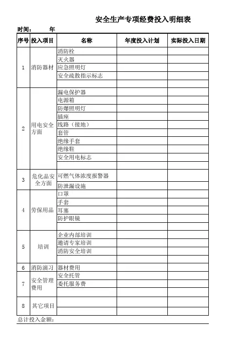 安全生产专项经费投入明细表