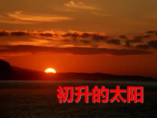 人教版三语下25《太阳是大家的》PPT课件