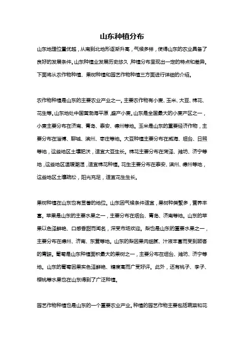 山东种植分布