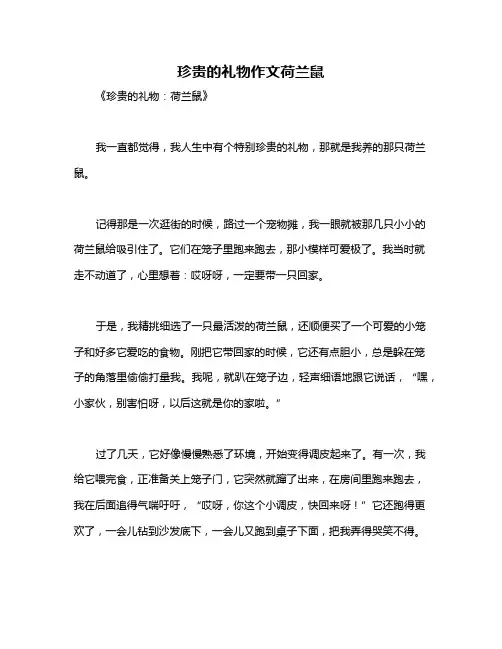 珍贵的礼物作文荷兰鼠