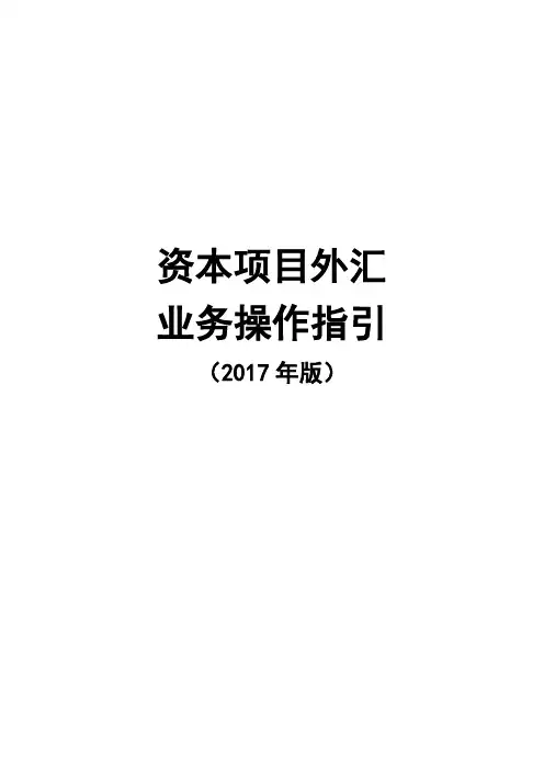 资本项目外汇管理业务操作指引年版全文DOC221页.doc