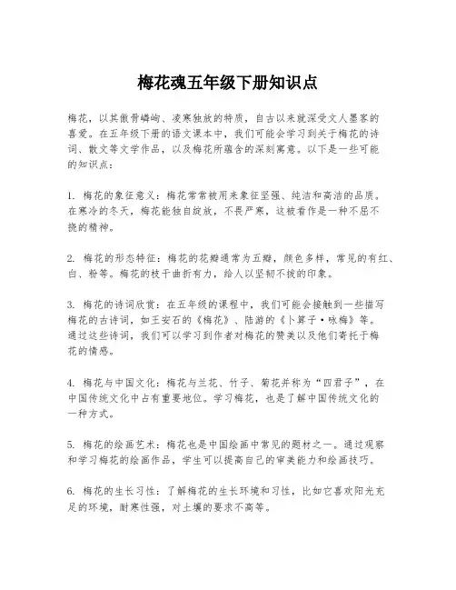梅花魂五年级下册知识点